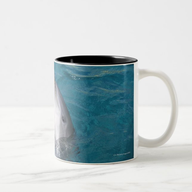 Coastal Bottlenose Dolphin Two-Tone Coffee Mug (Right)
