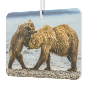 Coastal brown bears car air freshener
