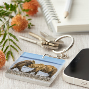 Coastal brown bears key ring