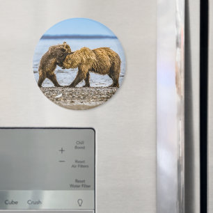 Coastal brown bears magnet