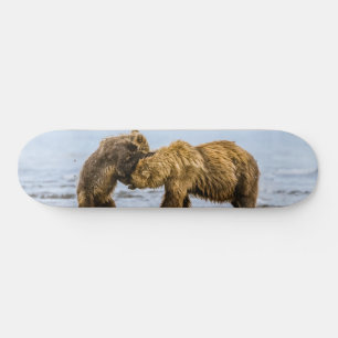 Coastal brown bears skateboard