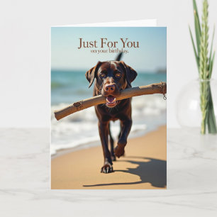 Coastal Canine Birthday Card