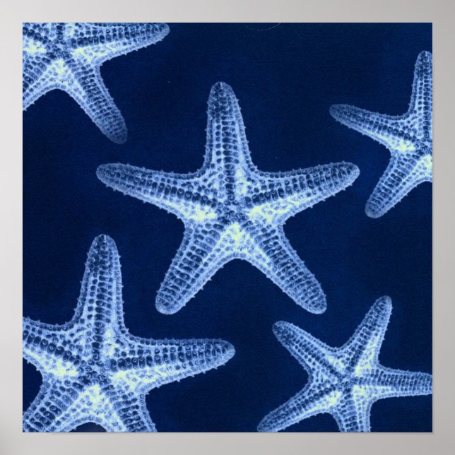 coastal chic beach rustic nautical blue starfish poster (Front)