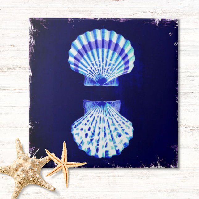 coastal chic beach rustic nautical navy seashells ceramic tile (coastal chic beach rustic nautical navy seashells ceramic tile)