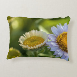 coastal Daisies Decorative Cushion