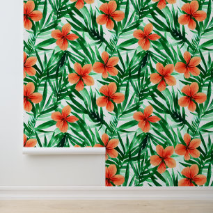 Coastal flower Hawaiian hibiscus blossom tropical  Wallpaper