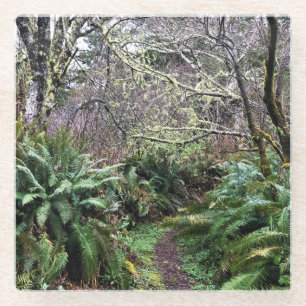 Coastal Forest Loop Trail, Cape Disappointment, WA Glass Coaster