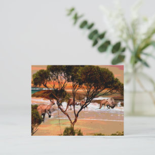 "Coastal Hops: Kangaroos on the Shore in Oil" Postcard
