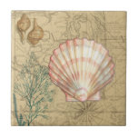 Coastal Map Collage Tile<br><div class="desc">There's nothing quite like this map of the sea life. This translucent collection of these seashells will go great on any products. It gives a vintage feel to the image and captures the sea life underwater. It includes a stripe pink and white seashell and a sepia coloured conch shell.</div>
