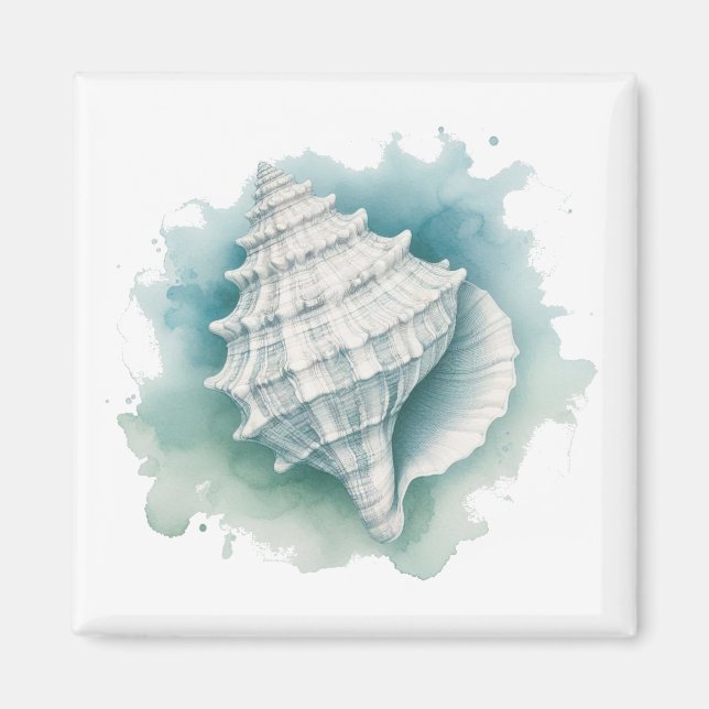Coastal/Nautical seashell  Magnet (Front)