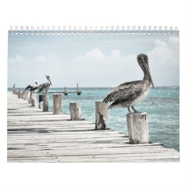 Coastal Ocean Pelican Calendar (Cover)