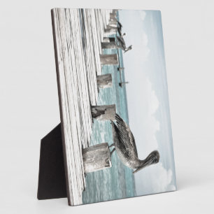 Coastal Ocean Pelican Plaque