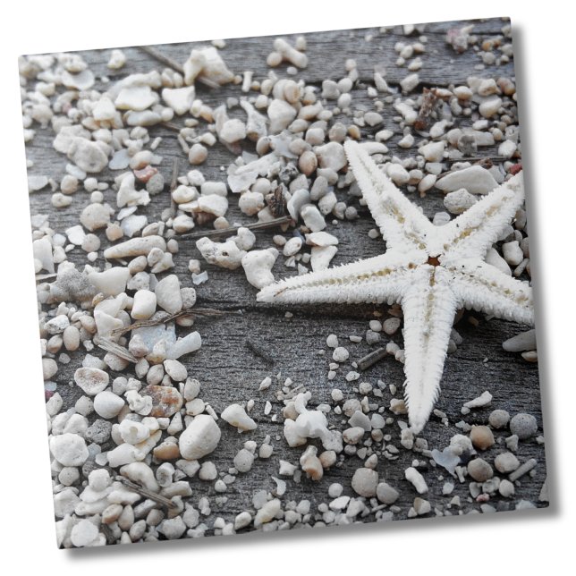 Coastal Ocean Sea Shell Pattern Ceramic Tile (Nautical White Starfish Shell Gray Sand Beach Ceramic Tile)