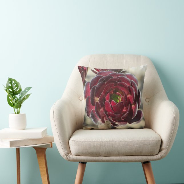 Coastal Plant Photo Red Burgundy Succulent  Cushion (Chair)