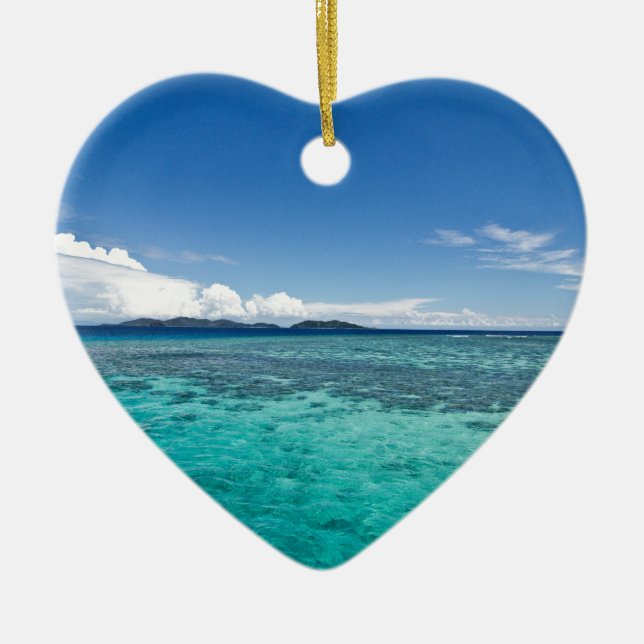 Coastal Reef, Fiji Ceramic Tree Decoration (Front)