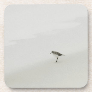 Coastal Sandpiper on the Beach Coaster