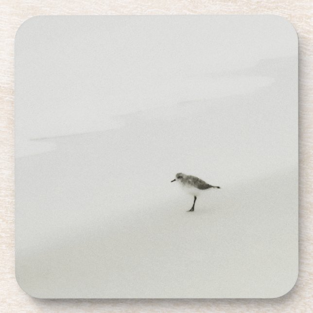 Coastal Sandpiper on the Beach Coaster (Front)