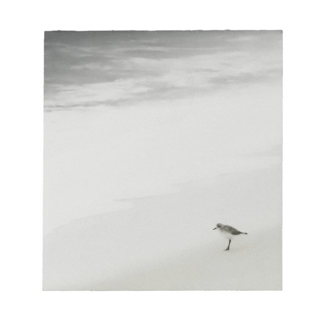 Coastal Sandpiper on the Beach Notepad (Front)