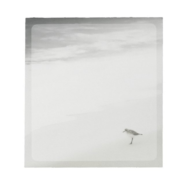 Coastal Sandpiper on the Beach Notepad (Front)