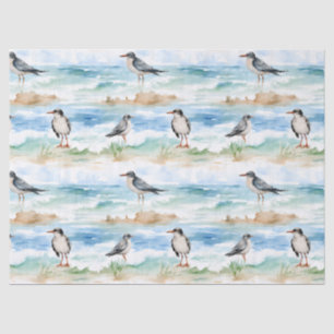 Coastal Sandpiper Shoreline Pattern (4) Tissue Paper