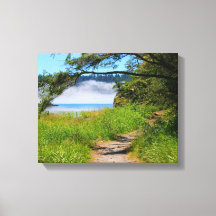 Coastal scene, path to beach, seashore, beautiful