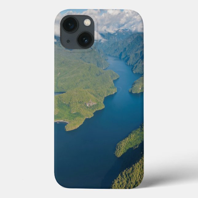 Coastal Scenery In Great Bear Rainforest Case-Mate iPhone Case (Back)