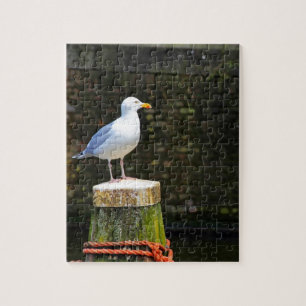 Coastal Seagull Photography Jigsaw Puzzle