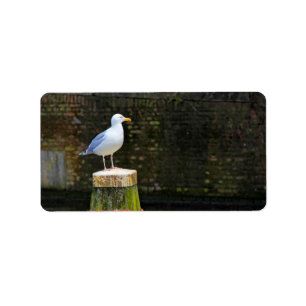 Coastal Seagull Photography Label