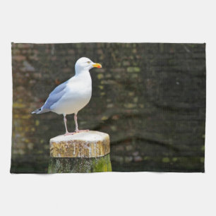 Coastal Seagull Photography Tea Towel