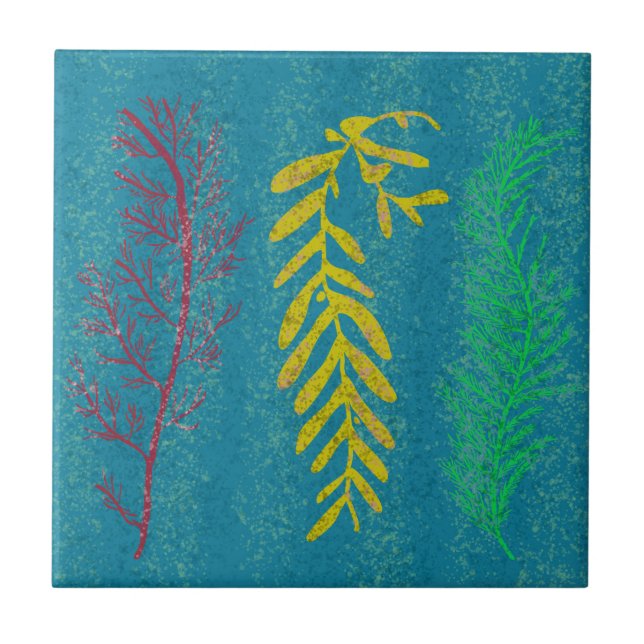 Coastal Seaweed  Ceramic Tile (Front)