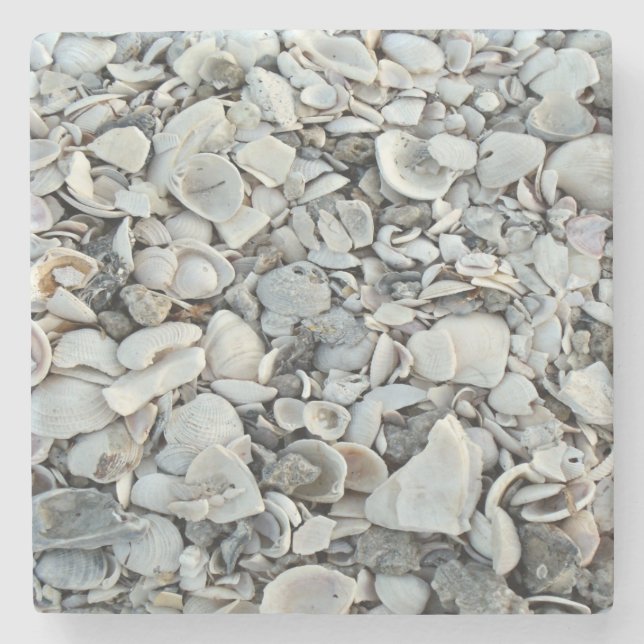 coastal Shell Natural Pattern Stone Coaster (Front)