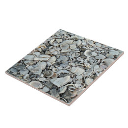 Coastal Shells Shore Tile