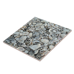 Coastal Shells Shore Tile