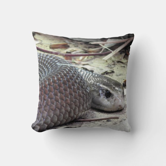 Coastal Taipan Cushion (Front)