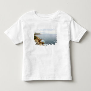 Coastal View of Acadia National Park Toddler T-Shirt