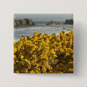 Coastal views, Bandon, Oregon 15 Cm Square Badge