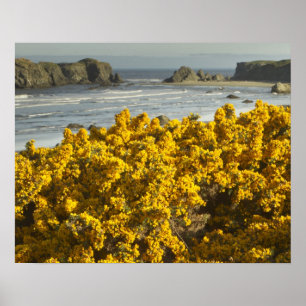 Coastal views, Bandon, Oregon 2 Poster