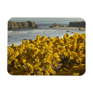 Coastal views, Bandon, Oregon Magnet