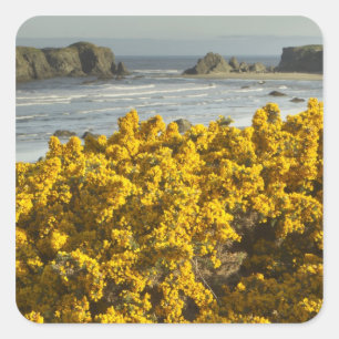Coastal views, Bandon, Oregon Square Sticker