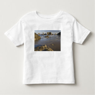 Coastal views, Bandon, Oregon Toddler T-Shirt
