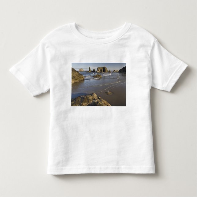 Coastal views, Bandon, Oregon Toddler T-Shirt (Front)