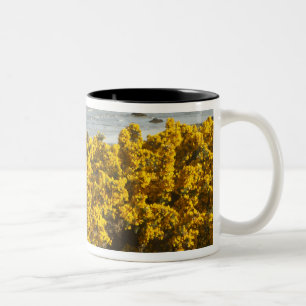 Coastal views, Bandon, Oregon Two-Tone Coffee Mug