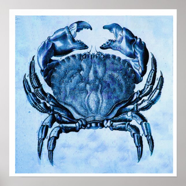 Coastal- vintage blue crab print (Front)