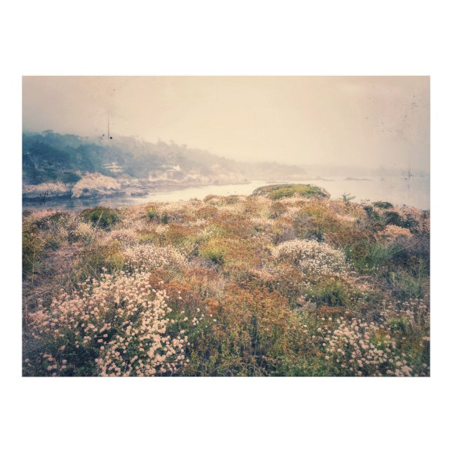 Coastal Wildflowers Photo Print (Front)