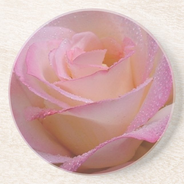 Coaster Beautiful Pink Rose (Front)