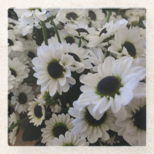 Coaster - Black & White Daisies