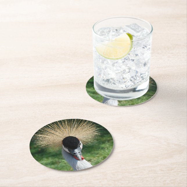 coaster _ crowned crane _ front&back (Insitu)