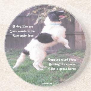 Coaster Dog Horse Poem By Ladee Basset
