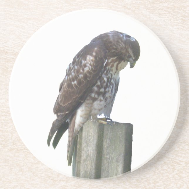 Coaster - Falcon (Front)