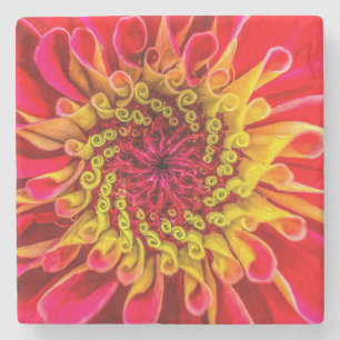 Coaster, floral design stone coaster